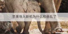 苹果导入新机为什么相册乱了