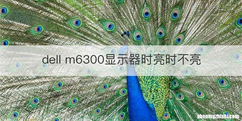 dell m6300显示器时亮时不亮