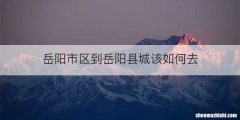 岳阳市区到岳阳县城该如何去