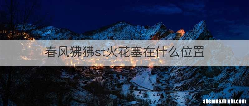 春风狒狒st火花塞在什么位置