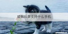 威朗投屏支持什么手机