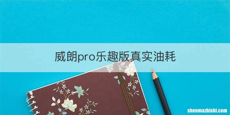 威朗pro乐趣版真实油耗