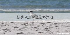 狒狒st加92还是95汽油