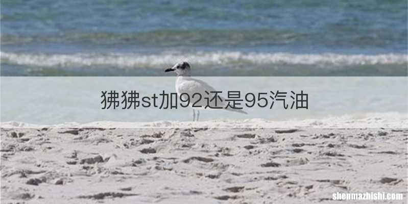 狒狒st加92还是95汽油