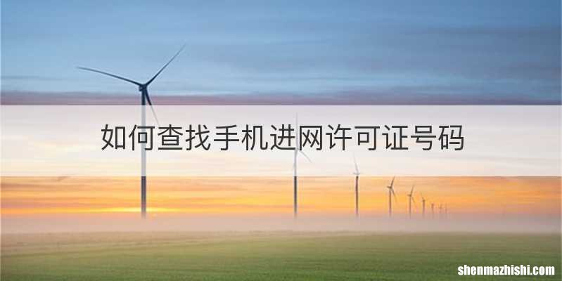 如何查找手机进网许可证号码