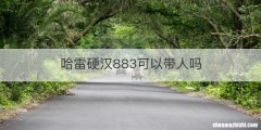 哈雷硬汉883可以带人吗
