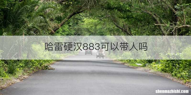哈雷硬汉883可以带人吗