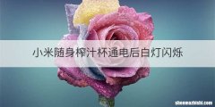 小米随身榨汁杯通电后白灯闪烁