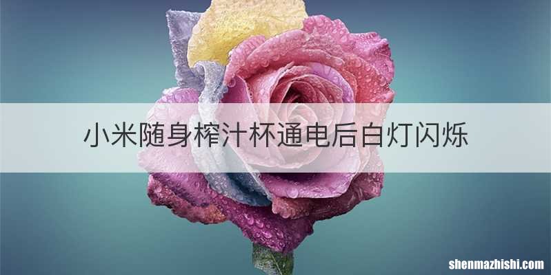 小米随身榨汁杯通电后白灯闪烁