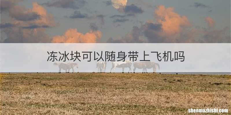 冻冰块可以随身带上飞机吗