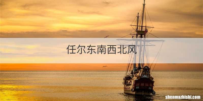 任尔东南西北风