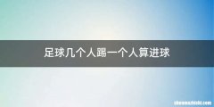 足球几个人踢一个人算进球