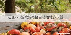 起亚kx3新款新裕隆自动落地多少钱