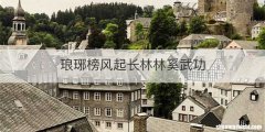 琅琊榜风起长林林奚武功
