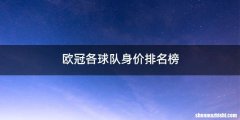 欧冠各球队身价排名榜