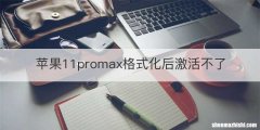 苹果11promax格式化后激活不了