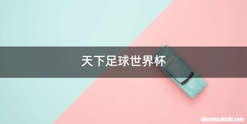 天下足球世界杯