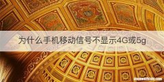为什么手机移动信号不显示4G或5g