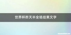 世界杯昨天半全场结果文字