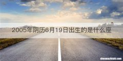 2005年阴历6月19日出生的是什么座