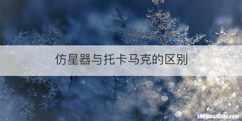 仿星器与托卡马克的区别