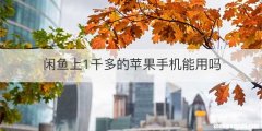 闲鱼上1千多的苹果手机能用吗