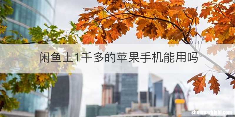 闲鱼上1千多的苹果手机能用吗