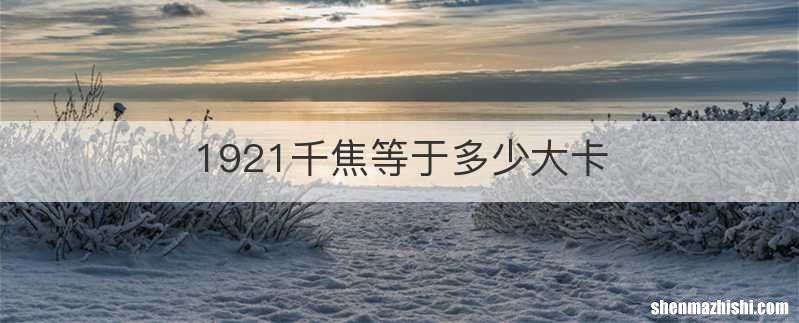 1921千焦等于多少大卡