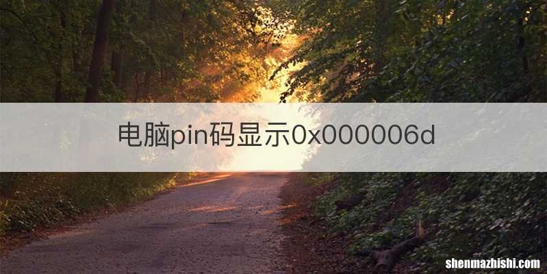 电脑pin码显示0x000006d