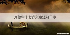 刘德华十七岁文案短句干净