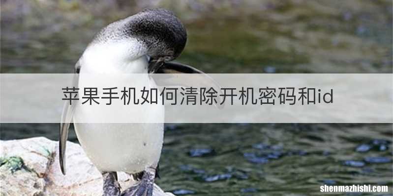 苹果手机如何清除开机密码和id