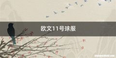 欧文11号球服