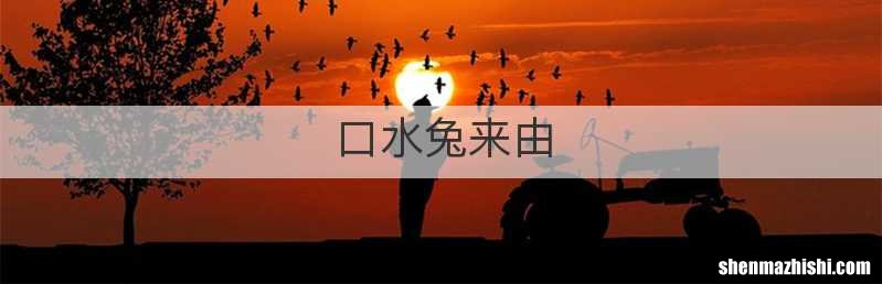口水兔来由