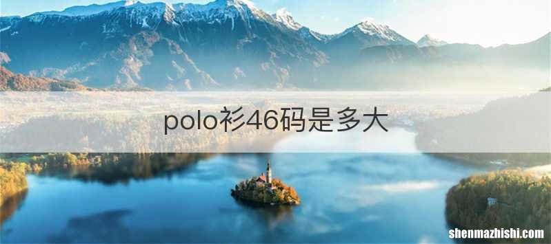 polo衫46码是多大