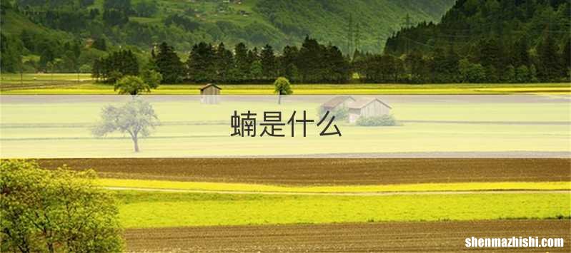 蝻是什么