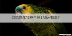 联想氮化镓充电器135w用哪个