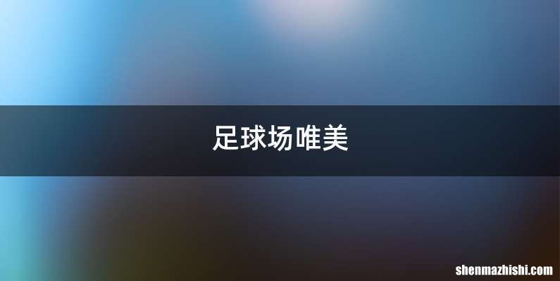 足球场唯美