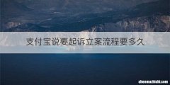 支付宝说要起诉立案流程要多久