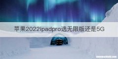 苹果2022ipadpro选无限版还是5G
