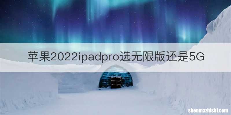 苹果2022ipadpro选无限版还是5G