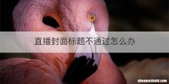 直播封面标题不通过怎么办