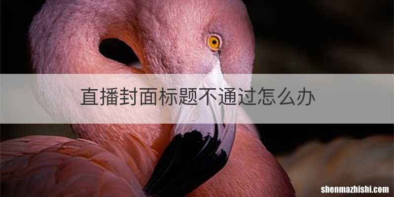 直播封面标题不通过怎么办