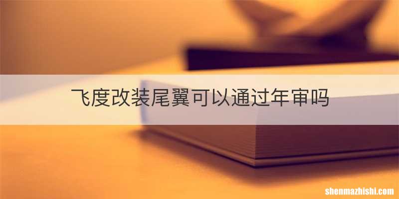 飞度改装尾翼可以通过年审吗