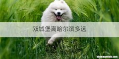 双城堡离哈尔滨多远