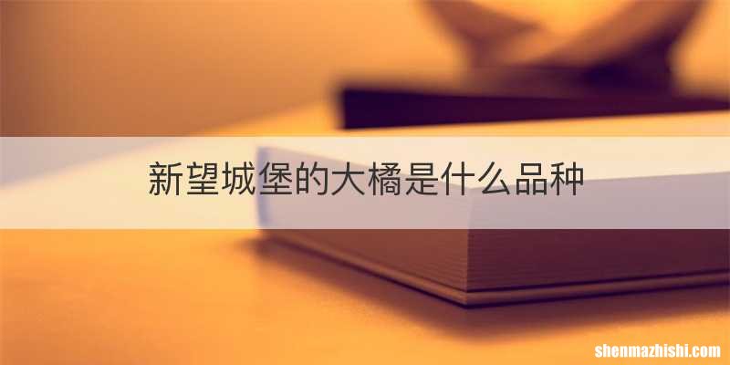 新望城堡的大橘是什么品种