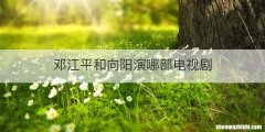 邓江平和向阳演哪部电视剧
