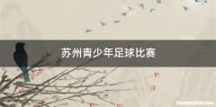 苏州青少年足球比赛