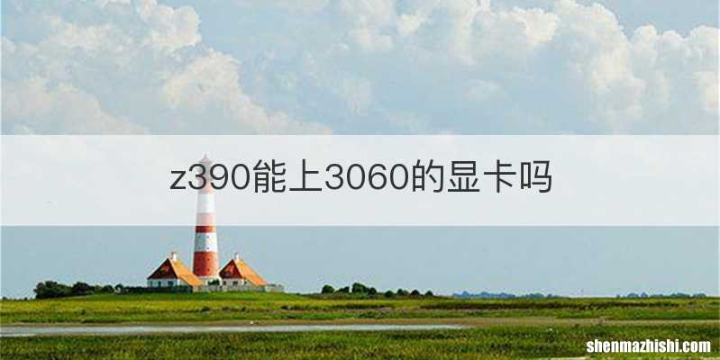 z390能上3060的显卡吗