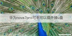 华为nova7pro可不可以插外接u盘