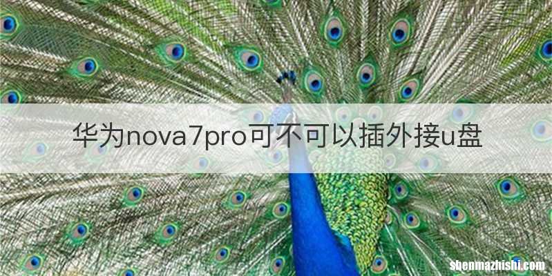 华为nova7pro可不可以插外接u盘